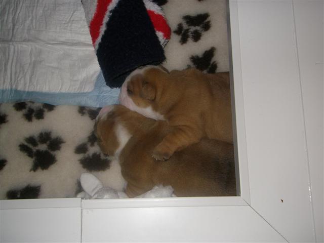 Les bbs de D'June et Be so Good
